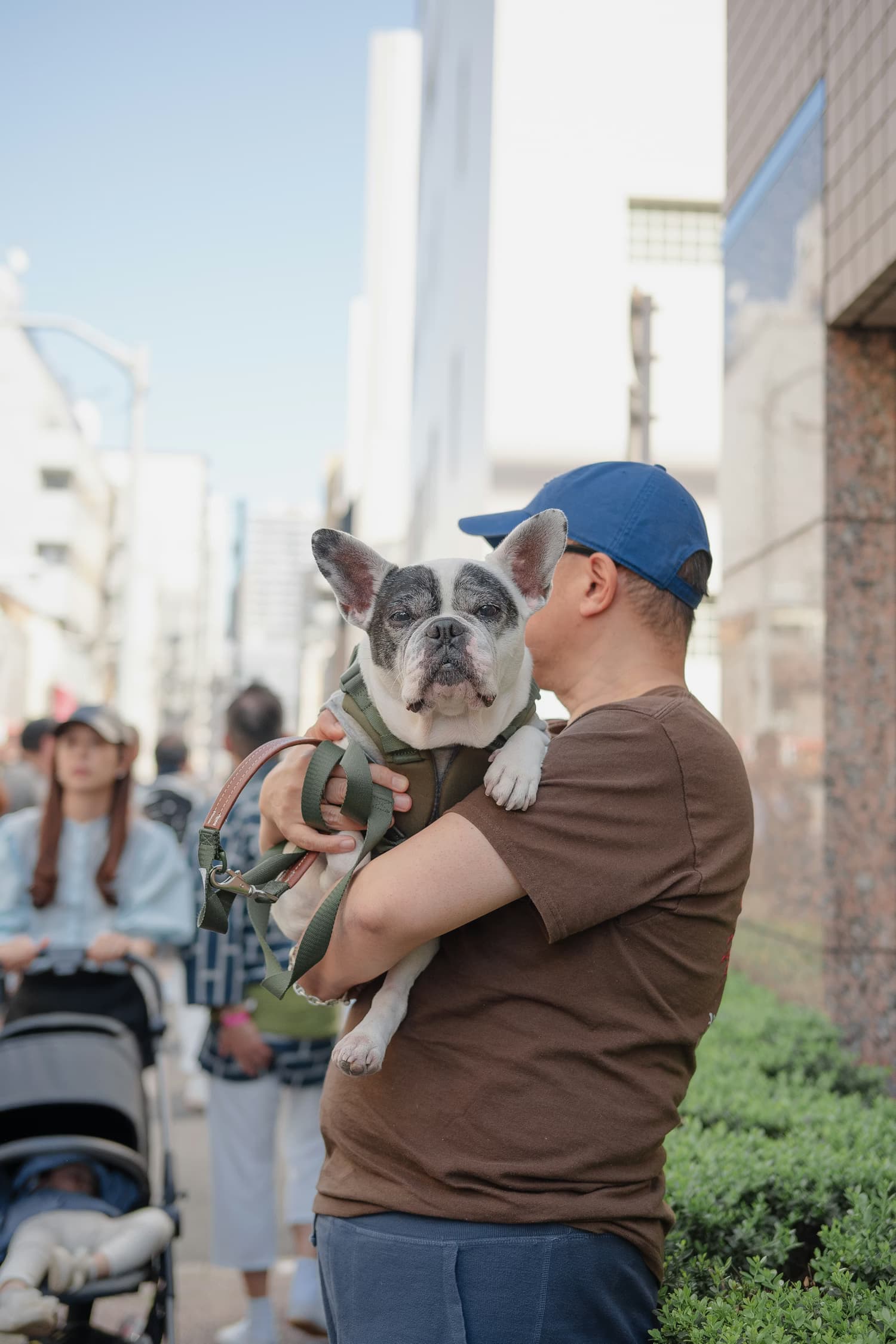 Χάσατε; Βρήκατε; κατοικίδια ανεβάστε στο SavePets
